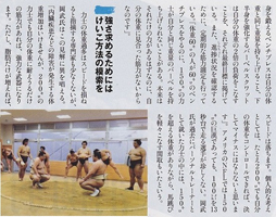 大相撲 2010年 07月号(3/3)